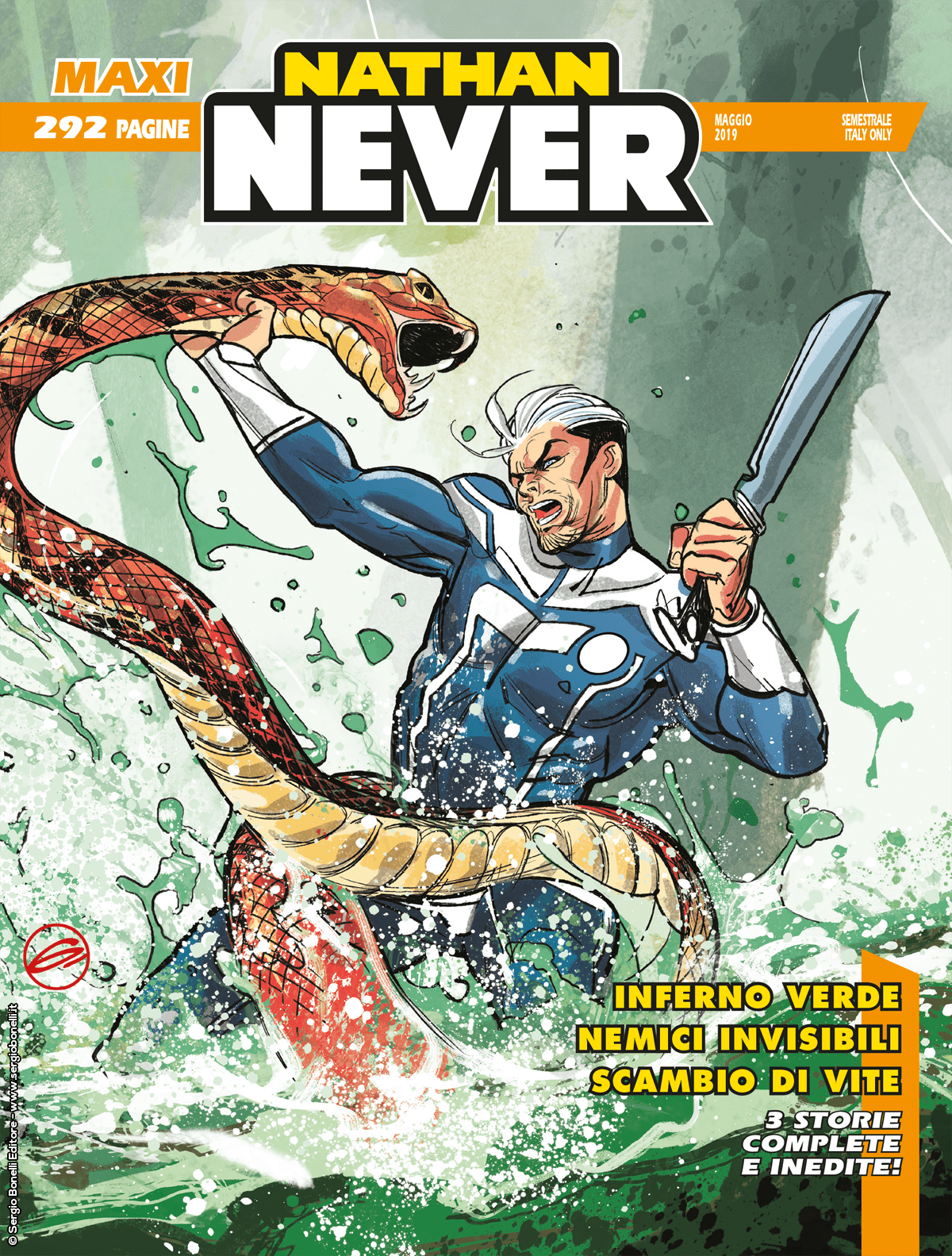 Maxi Nathan Never 17 cover