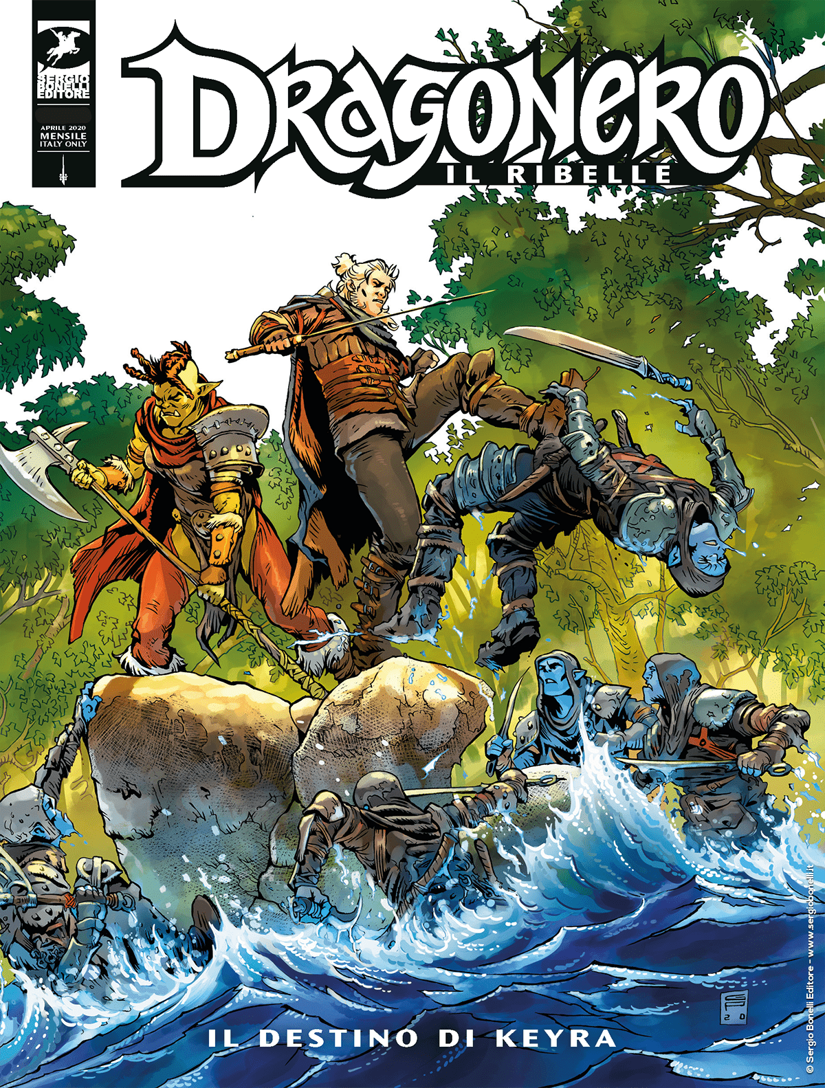 Il destino di Keyra - Dragonero Il Ribelle 07 cover